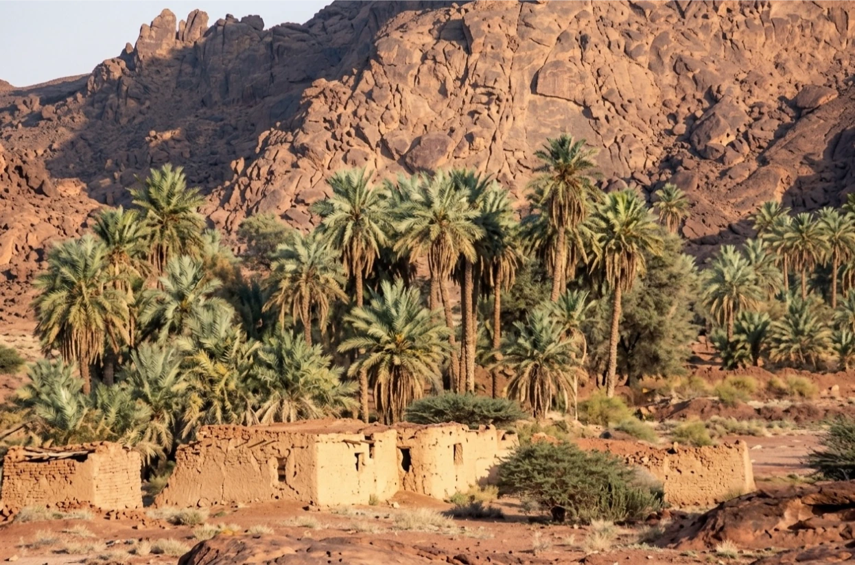 نسل صالح الحسين | ابا الخيل &bull; نبذة تاريخية عن أسرة أبا الخيل